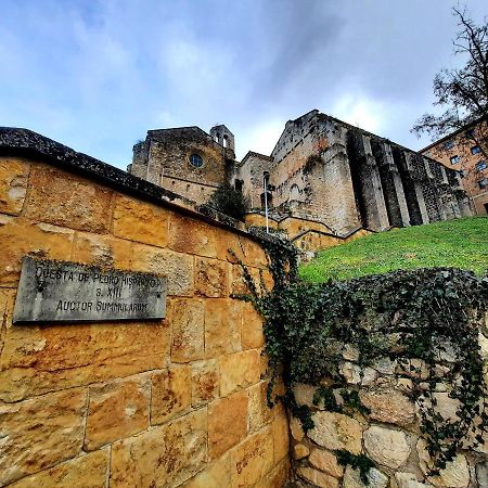 Apartamento Medieval En El Camino De Santiago Estella Zewnętrze zdjęcie
